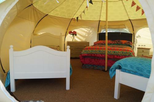 Agroturismo Loire Valley Llama Farm Stay