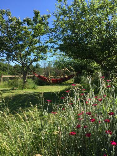 Agroturismo Loire Valley Llama Farm Stay