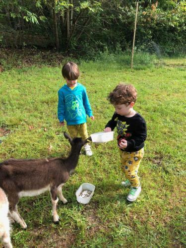 Agroturismo Loire Valley Llama Farm Stay
