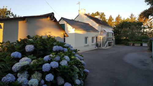 Bed & Breakfast Renard Retreat