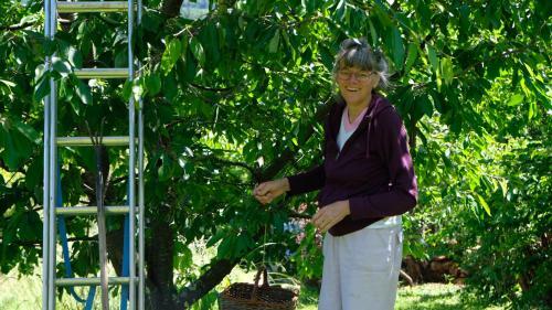 Le Jardin De Beaut�te