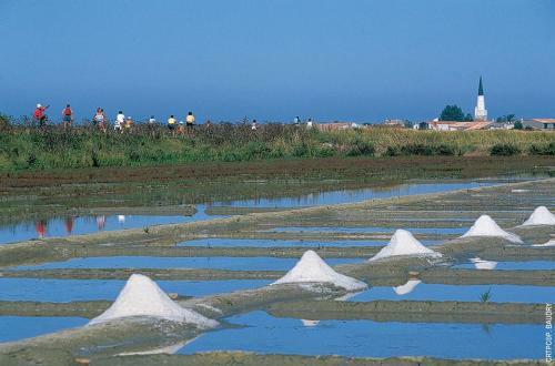 Maison Ane En Culotte