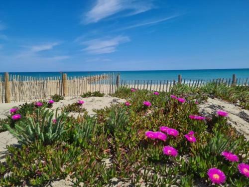 Apartamento Coquet Appartement Proche Plage 4cabes64