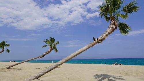 Apartamento Coquet Appartement Proche Plage 4cabes64