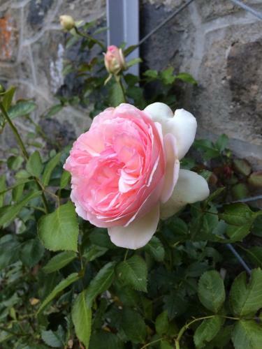 Bed & Breakfast Chez Mary Elise