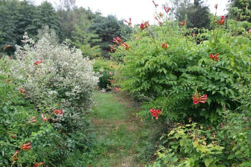 Bed & Breakfast Chambres D'h�tes "la Landre"