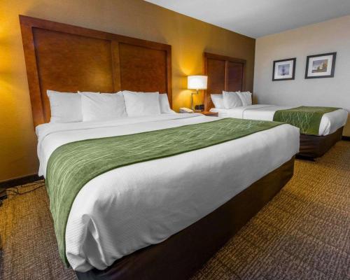 Hotel Comfort Inn & Suites Erie