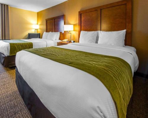 Hotel Comfort Inn & Suites Erie