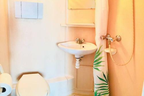Apartamento Studio Proche Universit� Et H�pital - Tram A 2 Pas