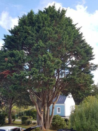 Bed & Breakfast La Minoterie - Chambre D'h�tes Et Studio Avec Kitchenette