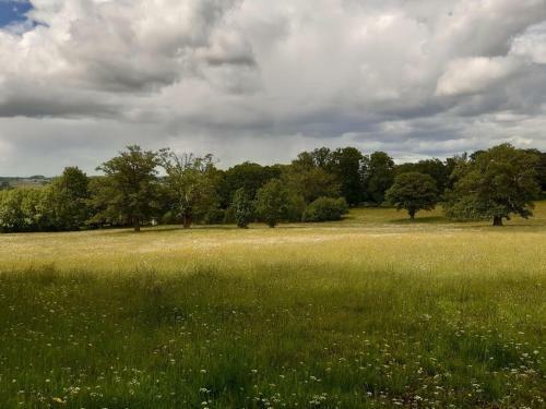 Domaine Des Roches Blanches - Site Class�