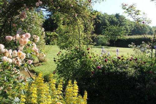 Domaine Des Roches Blanches - Site Class�