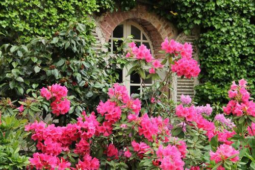 Domaine Des Roches Blanches - Site Class�