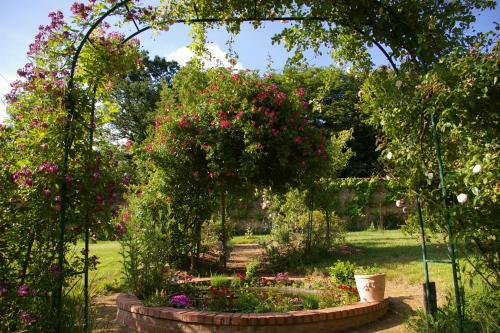 Domaine Des Roches Blanches - Site Class�