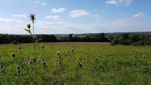 Domaine Des Roches Blanches - Site Class�