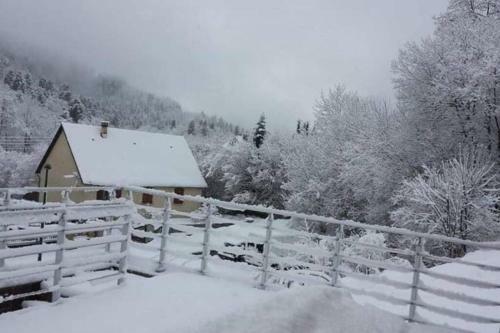 Chalet Loulou, Massif Central, Le Mont-dore