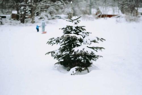 Chalet Loulou, Massif Central, Le Mont-dore