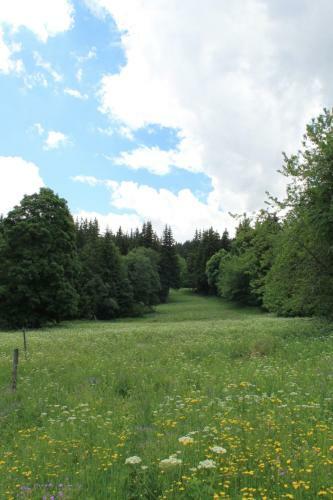 Chalet Les 5 Sapins