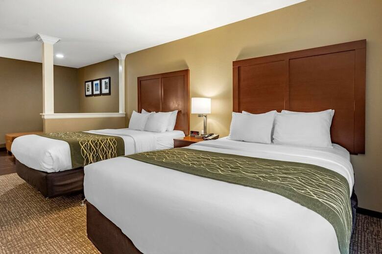 Hotel Comfort Inn & Suites Pittsburgh
