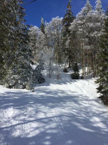 Apartamento La Cabane Du Mont De L'herba