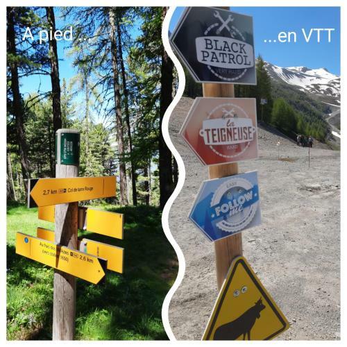 La Sauvagine B&B Skis Aux Pieds