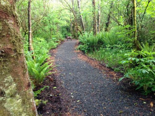 Bed & Breakfast Sheltered Nook On Tillamook Bay