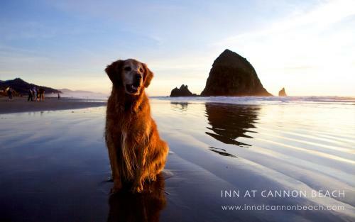 Hotel Inn At Cannon Beach