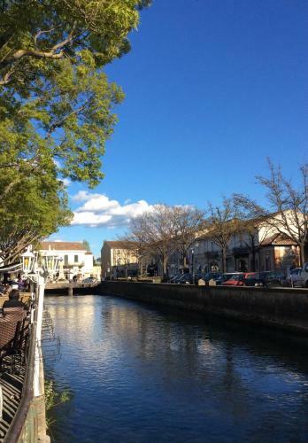 Apartamento Balcon Sur La Sorgue
