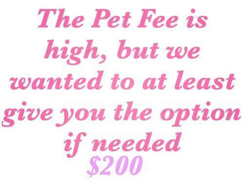 Posada Guest Area For Rent, Your Own Space!