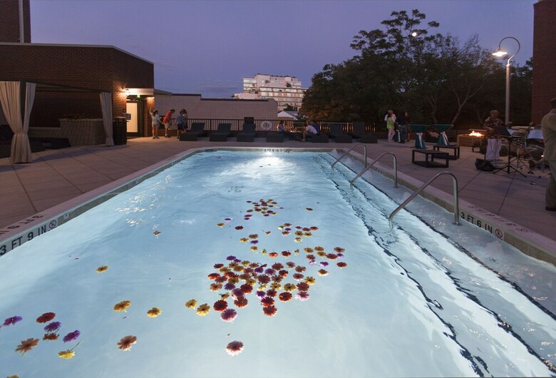 Hotel Hampton Inn & Suites Chapel Hill/carrboro