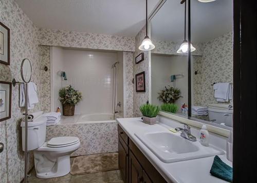 Far Horizons #416 By Aunt Bug's Cabin Rentals