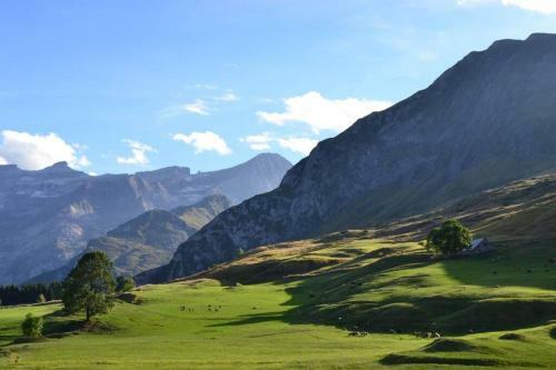 Apartamento Appartement Refait � Neuf Dans Quartier Thermal