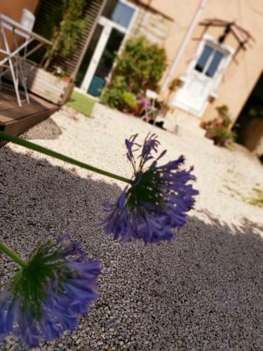 Apartamento Charmant Studio Sur Cour � Saint-rambert Lyon 9e