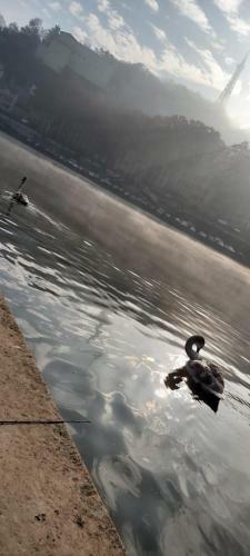 Apartamento Charmant Studio Sur Cour � Saint-rambert Lyon 9e