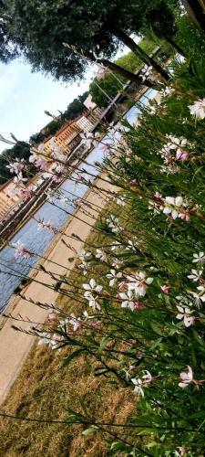 Apartamento Charmant Studio Sur Cour � Saint-rambert Lyon 9e