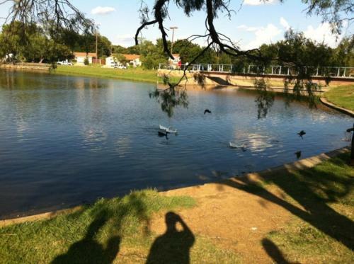 Oasis Near Dfw Airport With Mediterranean Setting