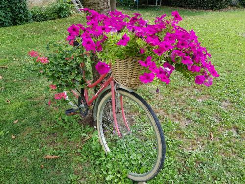Grange Vout�e Avec Jardin