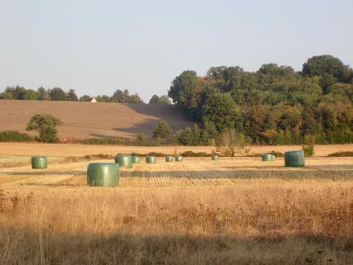 Bed & Breakfast La Petite Foucaudiere