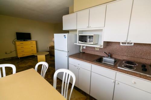 American Safari Motel