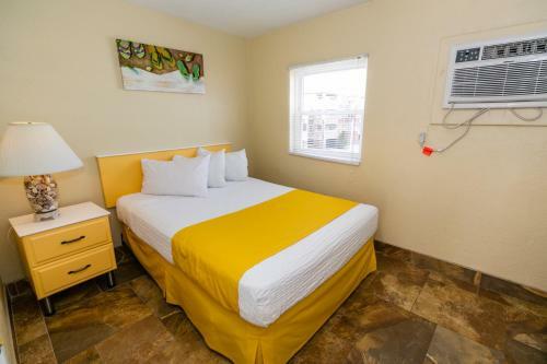 American Safari Motel