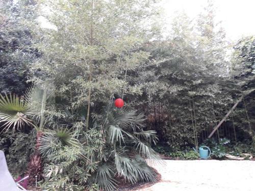 Apartamentos Jardin Et Bambous, Studio Cosy, Class�