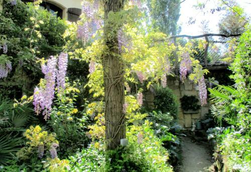 Apartamentos Jardin Et Bambous, Studio Cosy, Class�