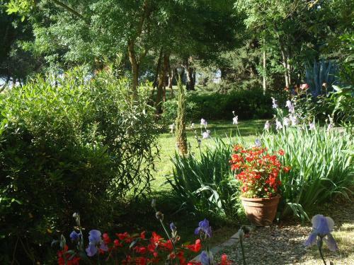 Bed & Breakfast Au Bord De Thau