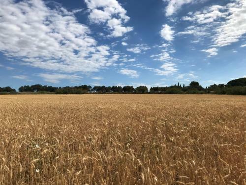 Bed & Breakfast Au Bord De Thau