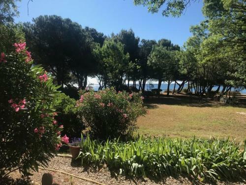 Bed & Breakfast Au Bord De Thau