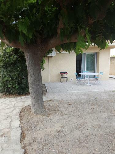 Apartamento T2 de 40 M2 En Rez de Jardin Carnon Plage