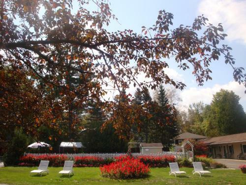 Motel Maple Leaf Inn Lake Placid