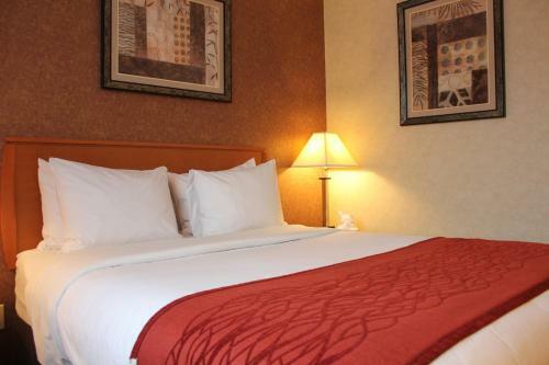 Hotel Comfort Inn Bellerose Queens
