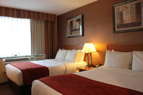 Hotel Comfort Inn Bellerose Queens