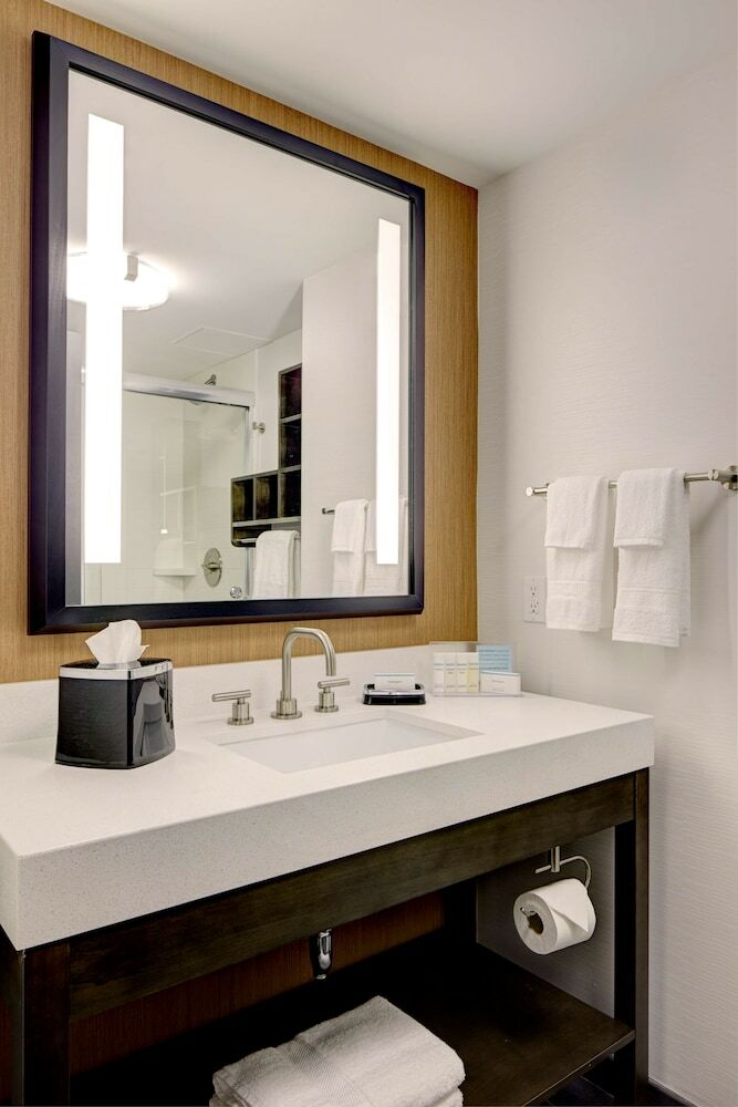 Hotel Hampton Inn Brooklyn Downtown